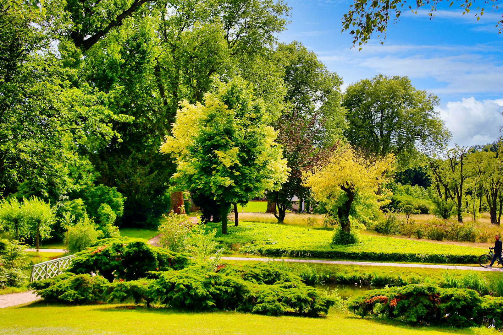 Landscaped podium garden at Austin Aurus Wakad
